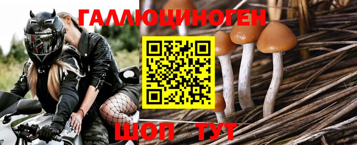 Галлюциногенные грибы ЛСД  Псилоцибиновые грибы ЛСД  Вход с VPN  Миллерово 